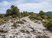 Camino roca