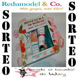 Banner del sorteo Redumodel