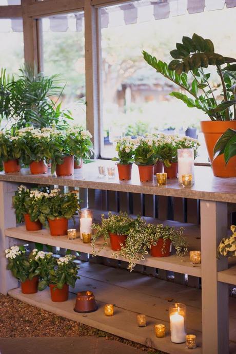 Despedida de Soltera en una Antigua Floristería. Despedida de Soltera en una Antigua Floristería.