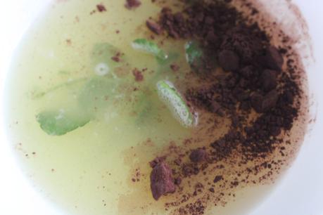 mermelada citricos menta_mamiclic_1