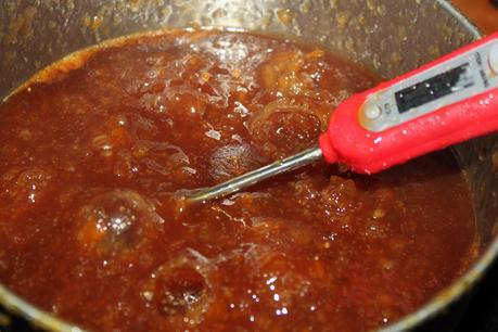 mermelada citricos menta_mamiclic_5