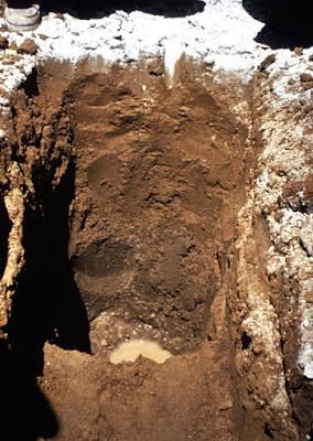 Suelos, ¿cuántos tipos existen? Suelos, ¿cuántos tipos existen?