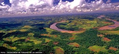 Suelos, ¿cuántos tipos existen? Suelos, ¿cuántos tipos existen?