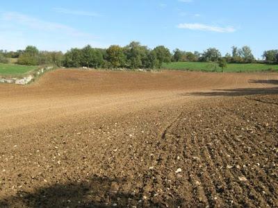 Suelos, ¿cuántos tipos existen? Suelos, ¿cuántos tipos existen?