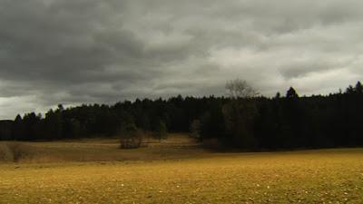 Suelos, ¿cuántos tipos existen? Suelos, ¿cuántos tipos existen?