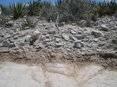 Suelos, ¿cuántos tipos existen? Suelos, ¿cuántos tipos existen?