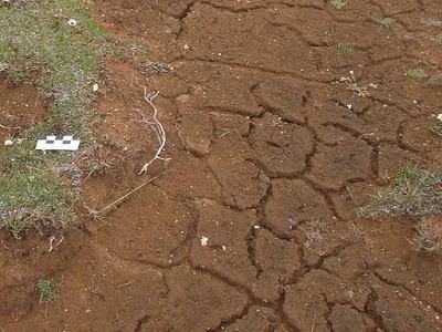 Suelos, ¿cuántos tipos existen? Suelos, ¿cuántos tipos existen?