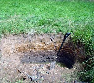 Suelos, ¿cuántos tipos existen? Suelos, ¿cuántos tipos existen?