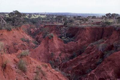 Suelos, ¿cuántos tipos existen? Suelos, ¿cuántos tipos existen?