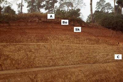 Suelos, ¿cuántos tipos existen? Suelos, ¿cuántos tipos existen?