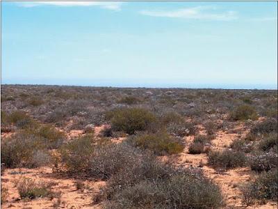 Suelos, ¿cuántos tipos existen? Suelos, ¿cuántos tipos existen?