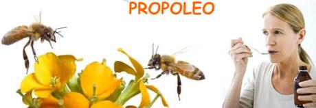 Cuales son las propiedades del propóleo??? - What are the properties of propolis ???