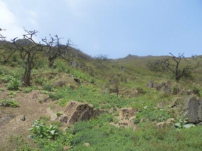 LACHAY: ENTRE LAS LOMAS DE LA ESPERANZA Y EL DESIERTO DE LA NEGLIGENCIA