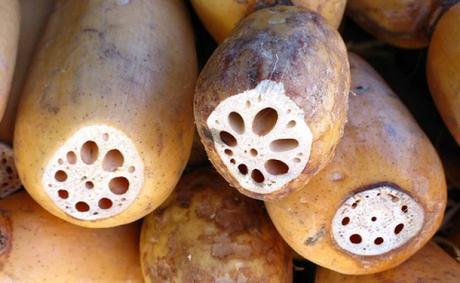 20-detoxifying-foods-lotus-root-jvumnFlickr-650x400