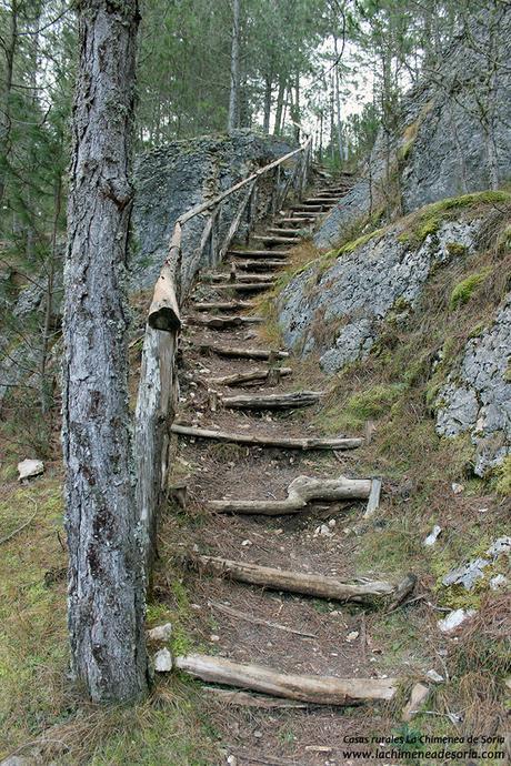 escalera madera natural cañón del rio lobos