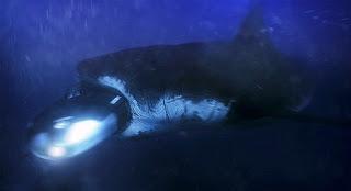 Megashark vs Kolossus (Christopher Ray, 2015. EEUU)