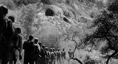 EL TIGRE EN LA JUNGLA