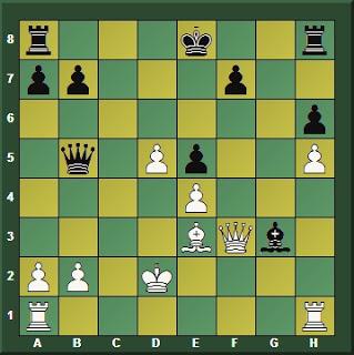 Magnus Carlsen en Wijk aan Zee (Holanda) – Torneo Tata Steel Masters 2016 (II)