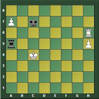 Magnus Carlsen en Wijk aan Zee (Holanda) – Torneo Tata Steel Masters 2016 (II)