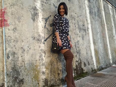  photo IMG_3171_zpsjqgvorch.jpg