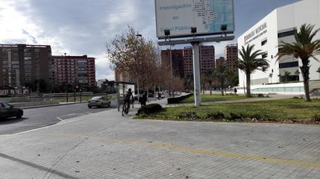 INCOMPETENTES ¡¡¡DIMISION!!! Por el bien de Cap i Casal.