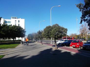 INCOMPETENTES ¡¡¡DIMISION!!! Por el bien de Cap i Casal.