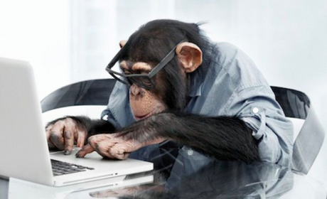 Espalda y ordenadores ¡Que dolor!