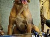 Señor Presidente.