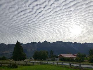 PAISAJES DE OTAGO