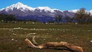 PAISAJES DE OTAGO