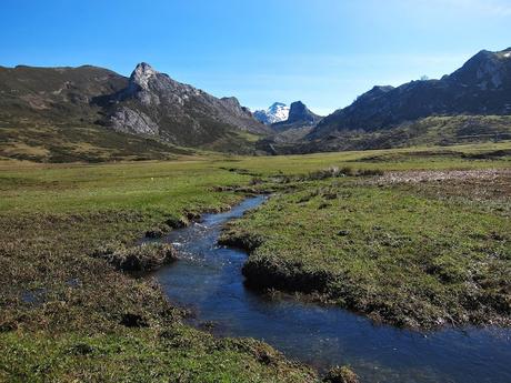 Por el entorno de los lagos de Covadonga