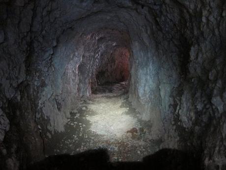 Por el entorno de los lagos de Covadonga