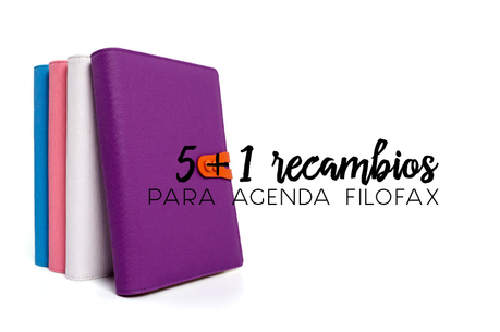 5+1 RECAMBIOS PARA AGENDA FILOFAX