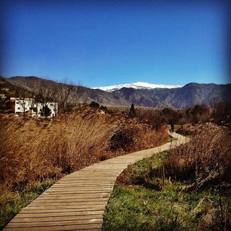 Circuito para hacer montaña en Granada – Padul – Ermita Vieja