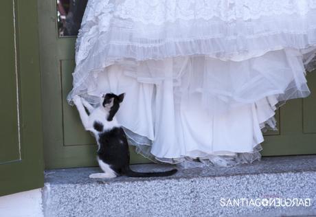 Santiago Bargueño Fotógrafo, fotografía de boda