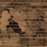 Experimental little monkey