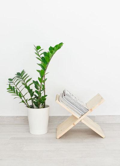 Revistero nórdico en X.