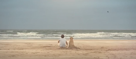 Lleva a tu mascota de vacaciones