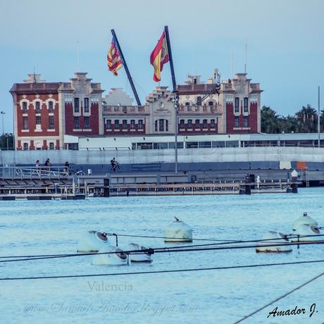 VALENCIA: MARINA REAL JUAN CARLOS I y PASEO MARÍTIMO