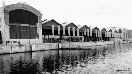 VALENCIA: MARINA REAL JUAN CARLOS I y PASEO MARÍTIMO