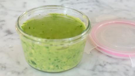 Cómo conservar el Guacamole como-conservar-el-guacamole-3