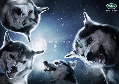 Cuidado con los mandriles, no textees mientras conduces