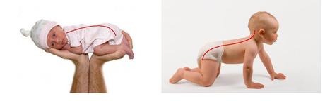 desarrollo columna vertebral bebe blog mamiclic