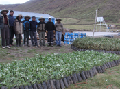 Protección pastos comunidades Chumbivilcas