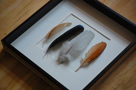 PLUMAS PARA DECORAR ¿si o no?