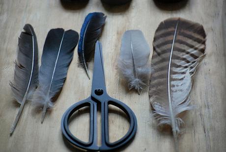 PLUMAS PARA DECORAR ¿si o no?