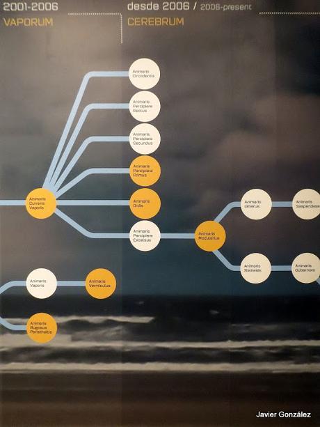 Asombrosas criaturas. Theo Jansen. Stranbeest Espacio Telefónica. Fundación Teléfónica