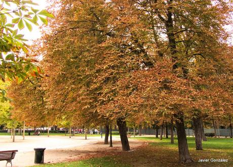 El Parque del Retiro se cubre de Otoño. Retiro Park is covered with Autumn