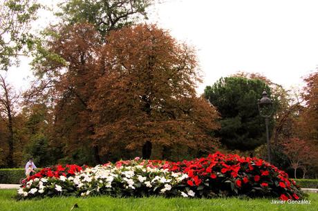 El Parque del Retiro se cubre de Otoño. Retiro Park is covered with Autumn