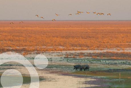 la vera de doñana